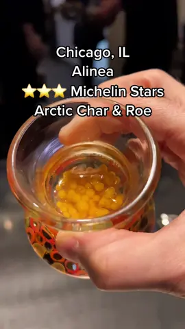 Alinea: Arctic Char & Roe ⭐️⭐️⭐️ #michelinstars #chicago #alinea #finedining #docueatery #highspeeddining #RestaurantReview