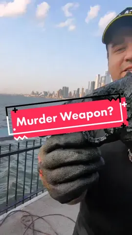 Magnet Fishing the Hudson River! #magnetfishing #treasurehunting #nyc #Hudson #Hudsonriver #nycskyline #gun #newyork