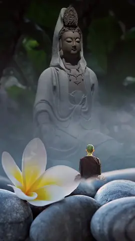 #phậtphápnhiệmmàu