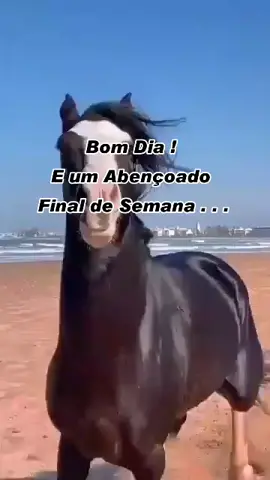 #bomfinaldesemana #DesafioAmazonDeAaZ #vaiproforyou #vaiprofyyyyy