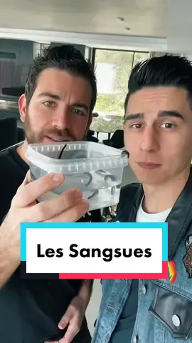 Qui aurait osé le faire ? La suite arrive bientôt 😭 @dr.never