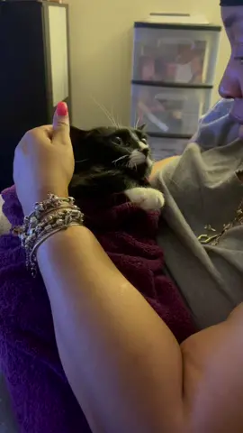 Cutting Midnight’s nails featuring my dramatic mom and my sister in the background #catsoftiktok #fyp