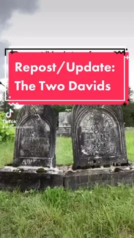 #repost / #update on the Two Davids ❤️❤️ #gravetok #gravestonecleaning #fyp #fypシ #historybuff #genealogy