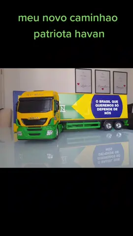 novo caminhao iveco havan patriota