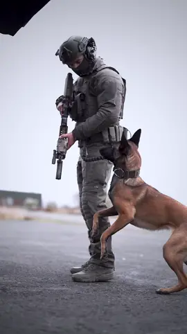 Wishing you a beautiful Sunday #doglover #family #dogunit #gentleman #airsoft #workingdog #workingdogs #malinoisofinstagram #malinoispuppy #shepherddog #shepherd