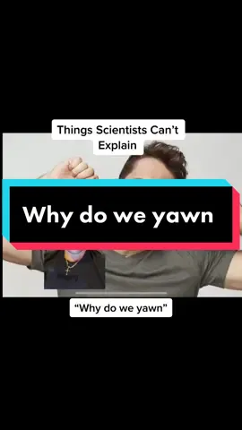 I yawned making this video #creepycinema #thingsscientistscantexplain #yawn #yawning #yawnchallenge #yawningchallenge #yawns #yawningcat #unexplained #unexplainable #unexplainedmystery #unexplainedphenomenon #unexplainablemysteries #unexplainedcaughtoncamera
