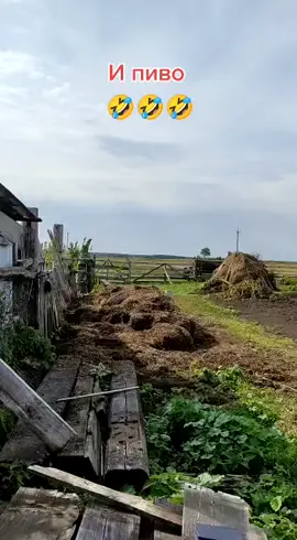 #деревня#кайф#колхозник #приколыдослёз