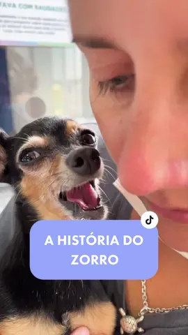 Zorro está enviando muitos lambeijos pra vocês❤️🙏🏻 #historias #cachorro #cachorros #pequenosprincipes
