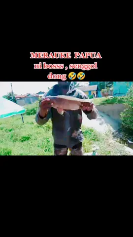 mujair babon bos ku #mancingmania #mancing #mancingnila #mancingmujair #merauke_papua