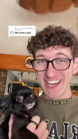 Reply to @darksavage689  Facts About Puddin Pt.2 😂❤️ #viral #pets #dogs #tiktok