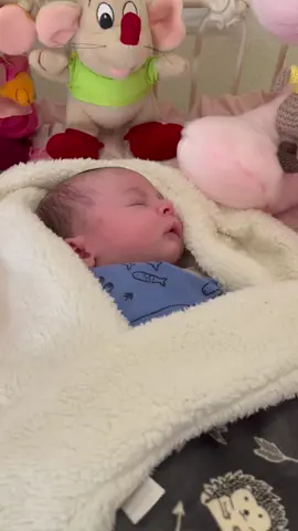 My twins grandbabys Cinderella and Ian 🥰 Shelby and Justin son and Santino and Pabye daughter 💕💙  #babyboy #babygirl #Fyp #family #funny #Love