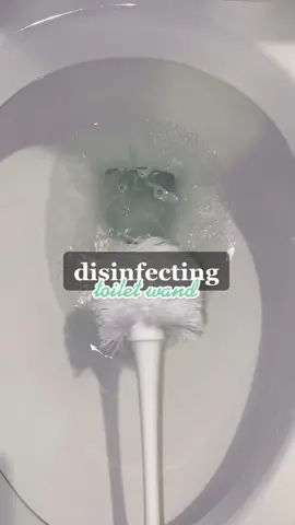 leaves the bathroom smelling fresh & you cleaned your tool. a win win #cleaningtiktok #CleanTok #cleanfreak #cleaningszn #disinfecting #cleaninghacks