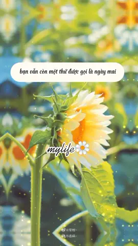 tặng bạn một tí động lực để vui vẻ hơn mỗi ngày 🌼#vuivemoingay❤️ #yêuthuongbanthan #ýnghĩacuộcsống #☘️ #🌼