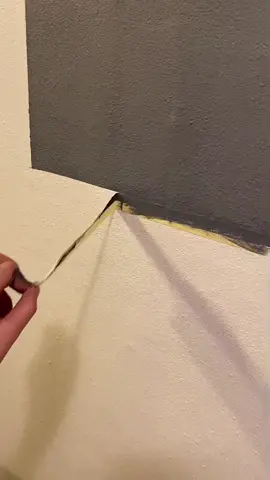 Trying magnetic paint  🧲  #foryou #crafts #fypシ #macnetic #paint #fypplz #tryit #homecrafts #doittoo #nice #iwoulddoitagain #doathome