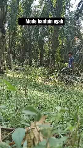 sekali kali jadi anak berbakti#fypシ゚viral #fypage