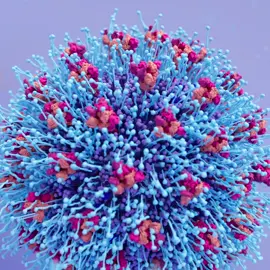 Hand washing with SOAP for 20 seconds gives time for the molecules (in blue) to break down virus enveloppe #handwash #wash #handwashchallenge #virus