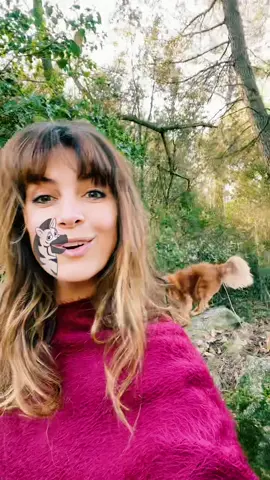 En mode jungle 😅😅 #kumalalasavesta #kumalalasavestachallenge #animalmakeup