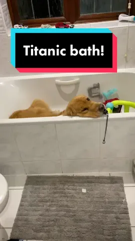 Bath time!🛁🧽 #titanic #deletedscene #bafftime #dogsoftiktok