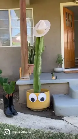 #ceramics