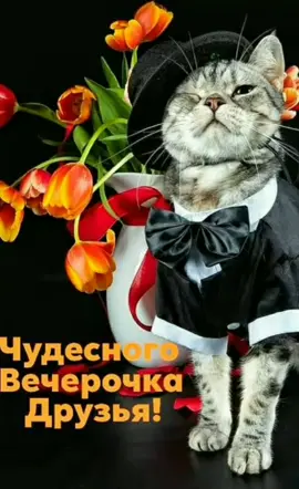 #вечер #прекрасноговечера #сдобрымвечером