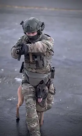 New Week - Let’s Rock! With #onetigris @onetigris_official  #dogsofttiktok #petlover #hund #milsim #shepherd #fyp #doglife #challenge
