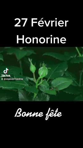 #honorine #journée27 #bonnefete