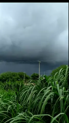 Deluvio ⛈️ #jotinha #chuva #tenpestade #raio #trovao #relampago #nuvens #roça #sertao #nordeste #like #audios #dorper #boer #caprino #ovinos #foryou