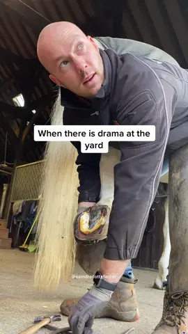 Perks of the job 🤪 #samdracottfarrier #oddlysatisfying #farrier #horse #horses #asmr #horsetok #farmtok #LearnOnTikTok #equestrian #satisfying #satisfyingvideos