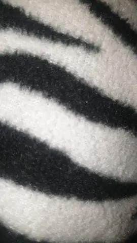 #nails #🦓