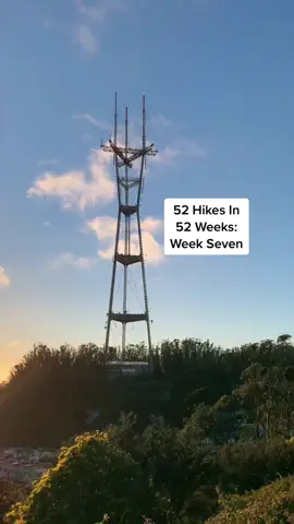 52 Hikes In 52 Weeks: Twin Peaks Trail #California #BayArea #SanFrancisco #Hiking #Outdoors #Nature #MakeItGucci