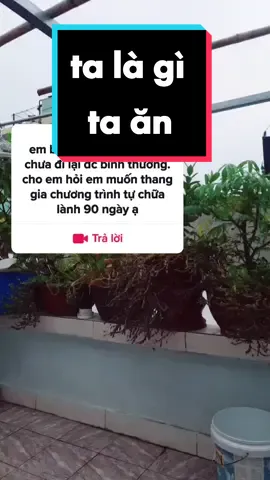 #trảlời dành cho @Huỳnh Tài  TBMMN đã tổn thương não khó hồi phục. Nhưng e làm ct 90 ngày sức khỏe em sẽ tốt hơn để không bị lại lần 2 em nhé #LearnOnTikTok #suckhoe #suckhoe09