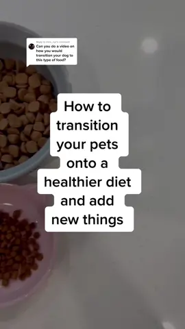 Reply to @mels_nyc The most important thing to remember, is that it’s not a race. Work at your pets pace when adding new items or transitioning to a new style diet! #petfood #petnutrition
