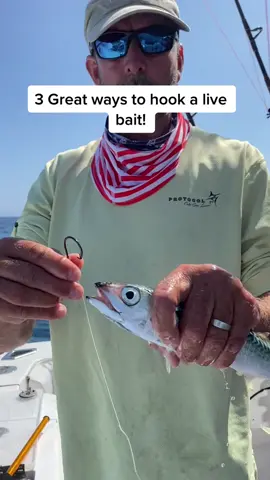 Is there any other way? #fishcabo #bait #cabo #marlin #baitfishing #aftco #bubbablade #circlehooks #protocolsportfishing @marlin_jockey