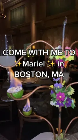 Came for the food stayed for the vibes. Mariel in Boston is a must for a cute dinner night out!