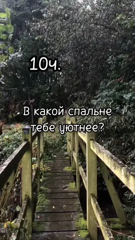 Спасибо за 2030 подписчиков🌼✨#спокойствие #атмосферно #дом #уют #стараюсьбытьвреках #выберифото #гдеэстетика #yanamol #dark #elbruco #gre #pyt #fyp