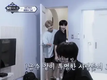 НЭГА ПЬЁНЕ!!! чанбин просто: 😐🤨 ссылка на тг с нарезками в био. #minho #leeknow #jeongin #changbin #straykids  #минхобог #скз #dyllpay #fypシ