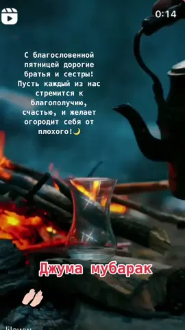 Пусть войны не будет о Всевышний🤲🏻 и сыновья матерей вернутся домой здоровыми и невредимыми. Помолимся за мир мои братья и сестры! 🤲🏻☪️🍀