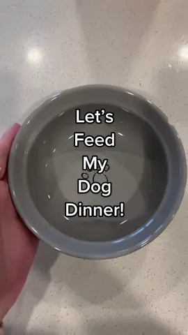 We already did the giveaway for the probiotics, but if you guys are interested let me know and I’ll try to do another one! @Ozloo  #dogfood #dogmeals #rawfood @instinctpetfood