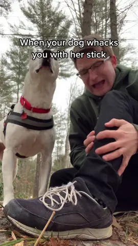 Anyone else’s dog do this