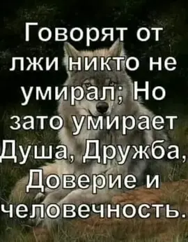 #Волкпожизни #мудрыесловажизни #рек #✊✊✊