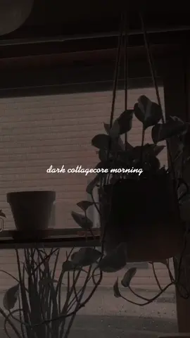 Rainy mornings call for cappuccinos + reading 🌧☕️📖🕯 #darkcottagecore #darkacademia #darkaesthetic #cozycore #cozycoreaesthetic #coffeeaesthetic #fy