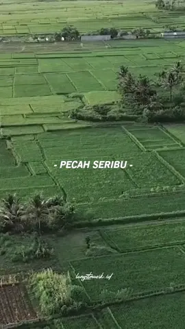 Elvy Sukaesih - Pecah Seribu Cover Revina📽. Youtube/Gasentra#elvysukaesih #pecahseribu #revina #langitmusikid #viral #fypdonggggggg @telmeee123