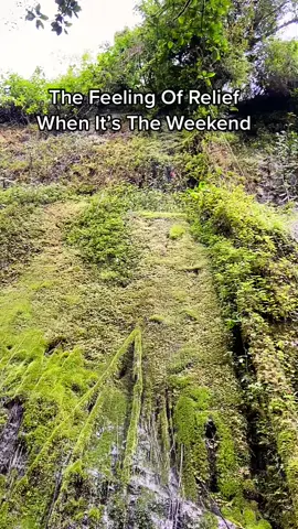 Jardin known for beautiful waterfalls and hiking #jardin #colombia #traveltheworld #cuevadelesplendor #antioquia #waterfalls