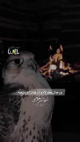 #explor #ابوناصر_الجوهي #explorateur #explore_اكسبلور #شيلات #fy  #tiktok #tiktok_india #tik_tok #fypシ  #foryou  #tiktok##Lovelike#follow#explore#meme#video#tiktok#foryoupage#fyp#foryou#viral#love#funny#memes#followme#cute#fun#music#happy#fashion#follow