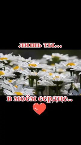 лишь ты