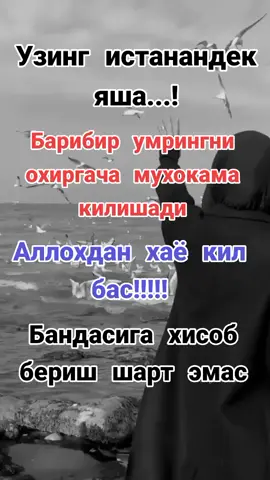 #🕊🕊🕊🕊 #р_е_к_🇰🇬🇰🇬 #🤗🤗🤗🤗