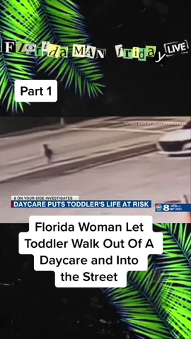 #onlyinflorida #floridacheck #fyp