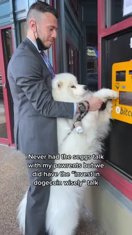 for doggo owning crypto purposes this is a ~joke~