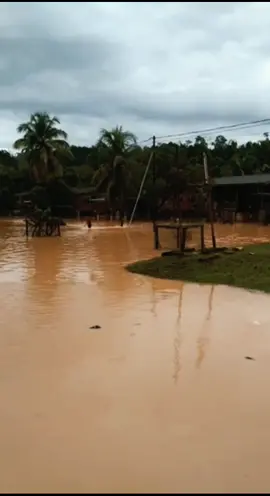 tahun ni banjir lagi . Ya Allah , permudahkan lah urusan keluarga dan penduduk di kampung kami Ya Allah #banjir#2022#kampungtersusunrantaupanjang