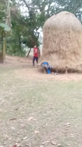 #😆😆😆
